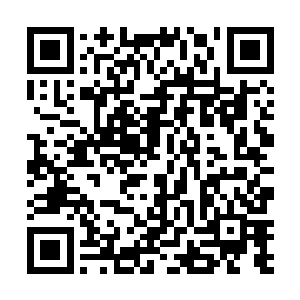 说不定能从他那里得到一些关于太古仙界现在的消息呢二维码生成