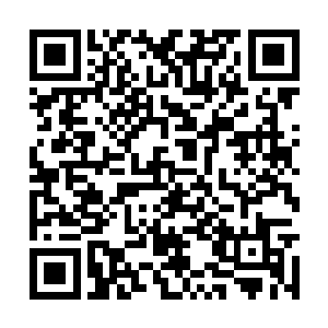 说不定苏康将来会跟池总裁爱你一样深爱着我不是二维码生成