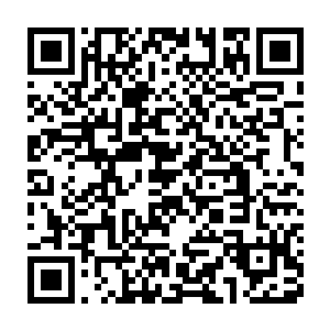 说不定这个小子就是随意的来了一个器灵沾染了一些龙族的血脉罢了二维码生成