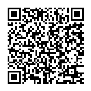 说丫头你要在能确定自己可以全身而退的时候才可以找白云中报仇二维码生成