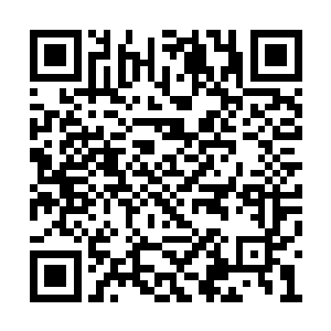 说修真界正在谣传李修义就是九华宫首领的事情二维码生成
