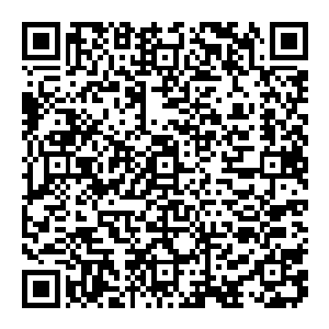 说完 再次打出两道疾风咒 背上的双翅也更加明亮 翅膀一阵 狂风顿起 带着一抹决然 带着一抹必死的决心 毅然上前二维码生成