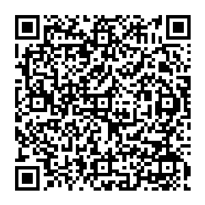 说完便绝口不提 而是意味深长的看着水天 似乎在告诉他 这其中有着许多不为人知的猫腻二维码生成