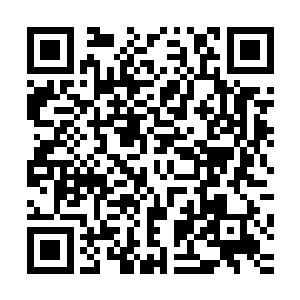 说实话我到现在还没有想明白真龙这一把为什么会拿一个薇恩二维码生成