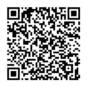 说明你也意识到了文化这一块对于城市社会经济事业发展的重要意义二维码生成