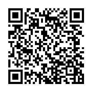 说明这里的地皮会跟坐火箭一样的速度牛逼到飞起啊二维码生成