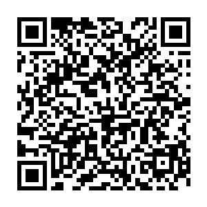 说是准备让刘宇大吃一惊――以前刘宇曾多次质疑小姨的炒菜水平二维码生成