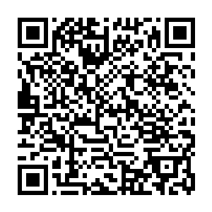 说是新人其实也不算了这些人在到了贝海船队以前己经在海上至少漂过四五年了二维码生成