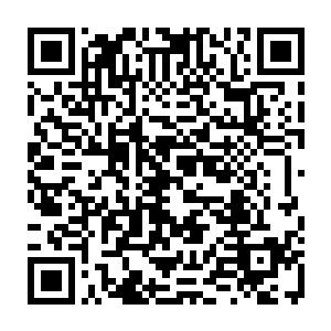 说是村老合计将朱平安他们家五亩旱田周围的五亩荒地也划给朱平安他们家二维码生成