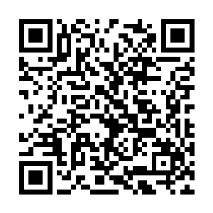 说来我们飞升修士在下界得到的传承终究是有限的二维码生成