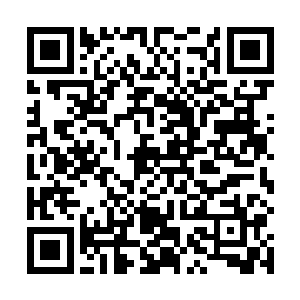 说起妈妈一次次严厉地逼着我爬上家乡大大小小的山顶二维码生成