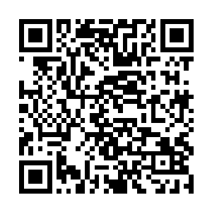 请各位支持有缘人的朋友们能够都在书评区多多留言二维码生成