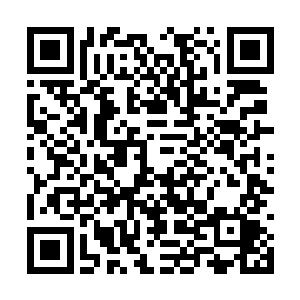 请把你们手里的月票当做生日礼物给我吧拜托拜托二维码生成