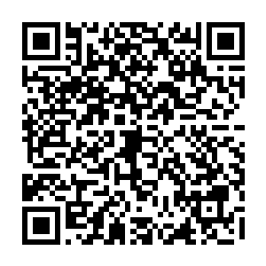 请美国约翰霍普金斯的着名精神疾病治疗的专家安德烈教授来给老爷子检查二维码生成