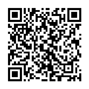 请陛下看在武胜军老卒为国鏖战一场的份上放他们还乡去吧二维码生成