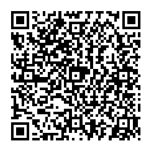 诺维斯基被赵纯良的表现给吓了一跳脸上勉强的应付了一句随后走向了地上那个球捡了起來说道二维码生成