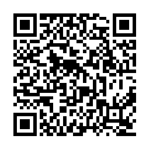 谁也不希望自己的公司报表上有太多的债务记录二维码生成