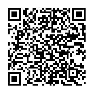 谁也不敢去想五莲老师在整片大6的根系到底有多深了……毕竟个圣人二维码生成