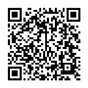 谁也不敢说什么废话的……若是谁敢在这里无理取闹的话二维码生成