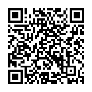 谁也不知道东方幽到底会将清尘公子藏到什么犄角旮旯的地方去二维码生成