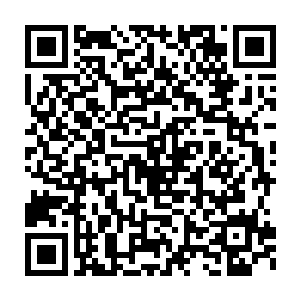谁承认你是团队领袖了……你只是挂着个社团团长的名号而已吧……二维码生成