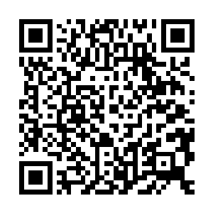 谁料有条龙居然跟着偷渡了…她竟在无意中养成了全能男神一枚二维码生成