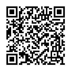 谁曾想……他带回家的实质上是一场可怕的灾难二维码生成