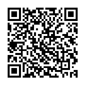 谁能够保证没有了元丹的巨蟒会不会因为某个奇遇而诞生奇迹二维码生成