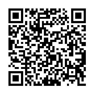 谁要是敢乱动老子一定会在你们的脑袋上开个洞二维码生成