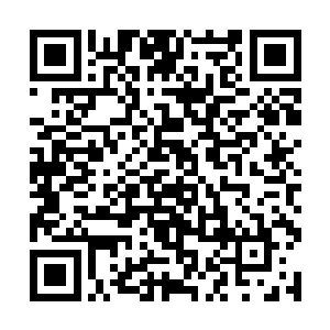谁说他们身边没有别人了……只是我们从未在意罢了二维码生成