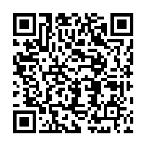 调查结果是……叶叶秋昨晚离开过克洛勃家族的庄园……二维码生成