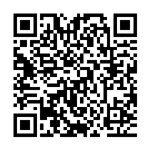 谢宜对上的都是特级巅峰的机甲师……就算他们幸运的逃过一次二维码生成