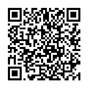 谢宜选择的导师也是远程王牌机甲中数一数二的导师二维码生成