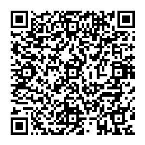 谢谢女王陛下 能够为女王陛下效忠 就是我最大的荣耀了 实在是不敢奢望能有什么赏赐的 二维码生成