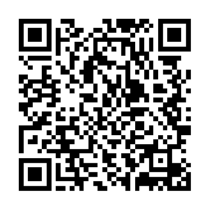 谢赫洋还没有闲到开车几十公里到这里和丁长生扯淡的地步二维码生成