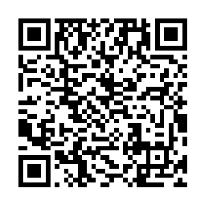 谢雨安已经在卫海要塞证明了他是多么擅长建造防御工事二维码生成