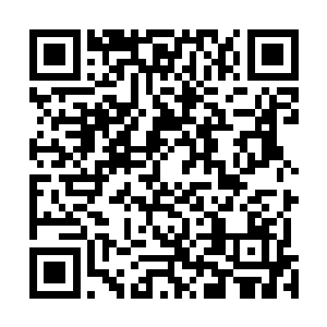 豆豆和小穹几乎带着几分不可思议的看着合体之后的夜染二维码生成