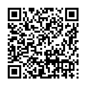 豪华的城主大门便在双方交战的余波当中化为飞灰二维码生成