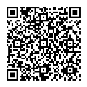 貌似后来还有很多异能女子甚至是修炼至妖王境界的磁性生物加入……阵容十分庞大二维码生成