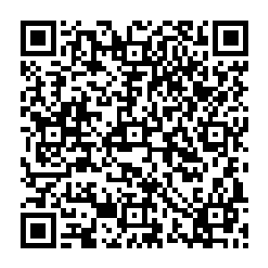 贝尔巴托夫潇洒至极的进球曼城竟然在客场bl取得了两球的领先优势在这样等级的比赛中二维码生成