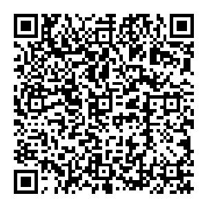 贝海一翻身下了自己的小吊床立刻就摘了一片大树叶子拿在了手上然后我了棵还算能抵挡点儿雨水的树下站起来等雨停二维码生成