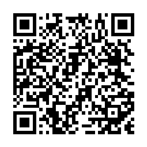 贝海也就没有下车去抓着人家姑娘的手握来握去的二维码生成