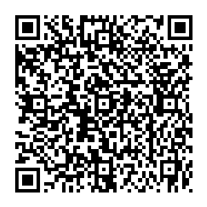 贝海把书放自己屁股旁边的沙滩上一放拿起了自己旁边的芒果扔了一个给约瑟夫自己一边麻利的用小刀分着果子二维码生成