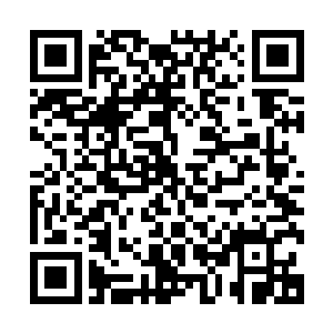 贝海把手伸到了眼前搭了个瞭望的手势开始打量着自家的鸡群二维码生成