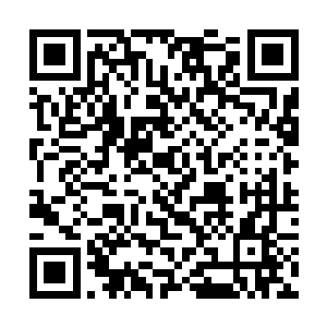 贝海看了几眼之后抬脚就转回到了疤脸一家的窝门口二维码生成