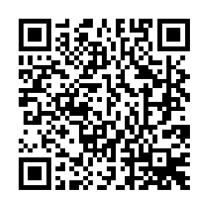 贝海看着卡森的兴致挺浓的就示意让杜合稍稍的解释一下二维码生成