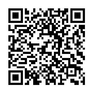 贝海看齐一铭的样子估计这人第一次出海现在也没调整过来二维码生成