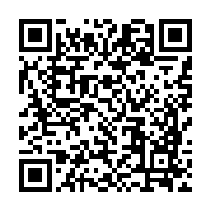 贝海都没有找到一个机会把大功臣土狗从海里捞出去二维码生成
