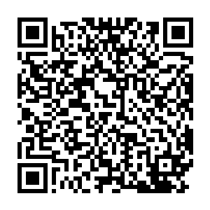 贝海重新走回到了甲板上伸着脑袋望着自己感受至皮球信号的方向二维码生成