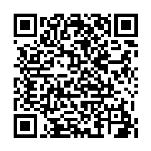 负责他们巡演的专业公司也是一股气没有换上来二维码生成